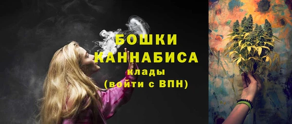 прущие грибы Магас