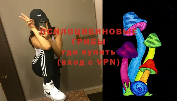 прущие грибы Магас
