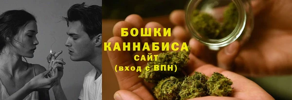 прущие грибы Магас