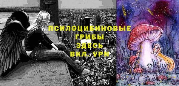 прущие грибы Магас