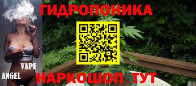 дурь Заводоуковск