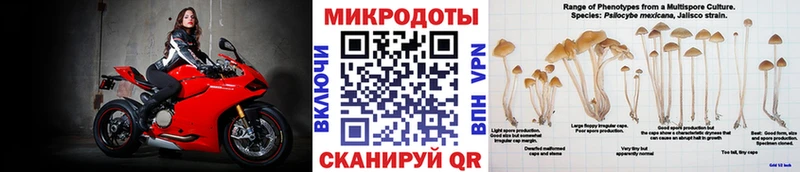 наркота  Оренбург  Галлюциногенные грибы мицелий 