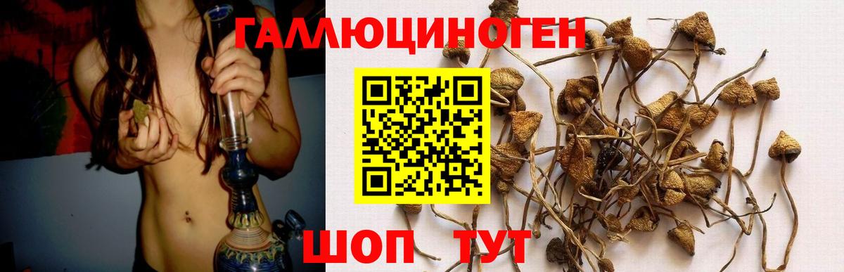 Псилоцибиновые грибы MAGIC MUSHROOMS  Вход с VPN  Псилоцибиновые грибы прущие грибы  купить наркотики сайты  Оренбург 
